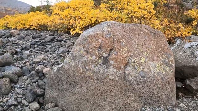 Погружение в краски осени | Таймыр, Норильск, горы Хараелах | 3-4.09.2022
