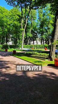 Грядки в центре Петербурга #спб #парк #грядки #kansteps