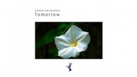 Anton Dolgushin - Tomorrow