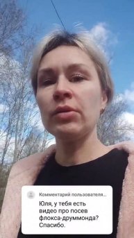 посев флокса