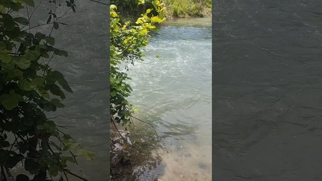 Горная река🏞️отдых, рыбалка🐟