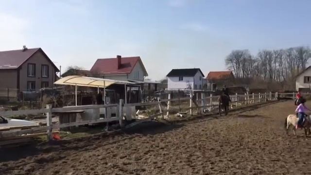 Еду голопом на любимой лошади