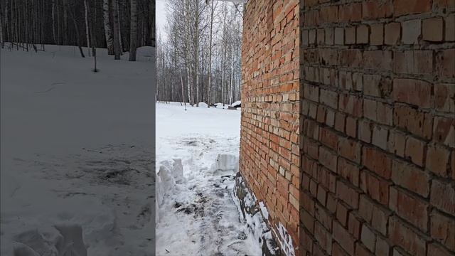 1000201905.mp4