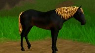 Иух Wild Horse island 🏝️🐴