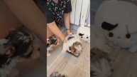 1000006685.mp4