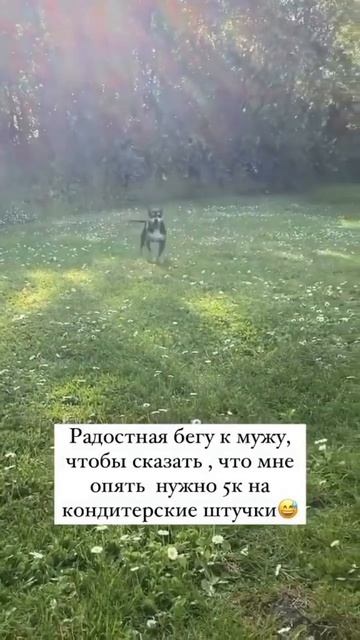 Знакомо 🤣У меня всё о пп десертах )) Подпишись ✅ #ппдесерты #естьихудеть #какпохудеть #безсахара