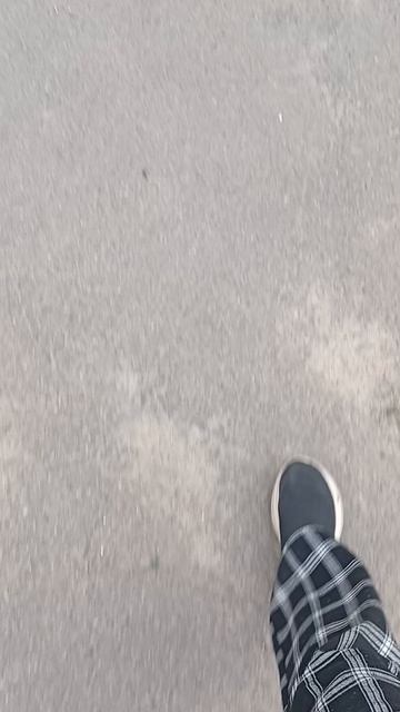 гуляю и мечтаю