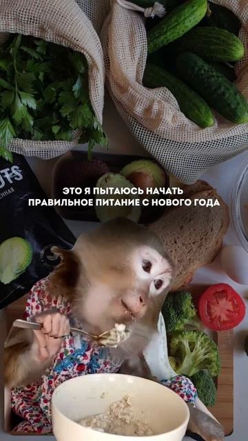 Десерт, на котором ты похудеешь😍Что это Читай в комментариях