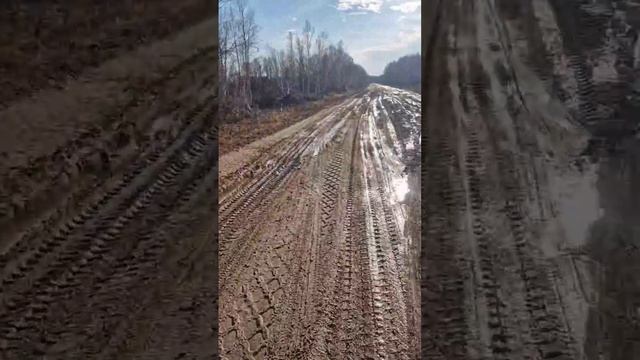 Жители Серышевского округа пожаловались на состояние дороги