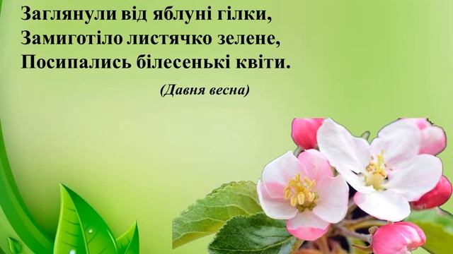 Леся Українка - поетична квітка України