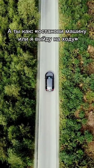 Гармония💞 #музыка #любовь #отношения #гармония
