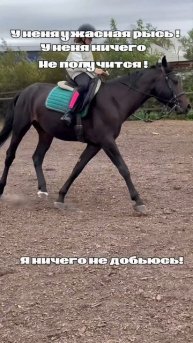 Было ? ) #конник #horse #конныйспорт #equestrian #pony #посадка #лош