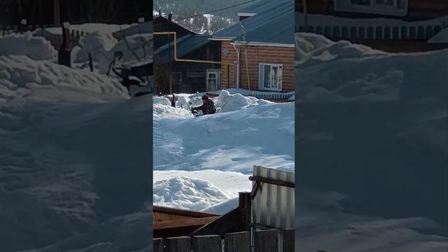VID-20240324-WA0004.mp4