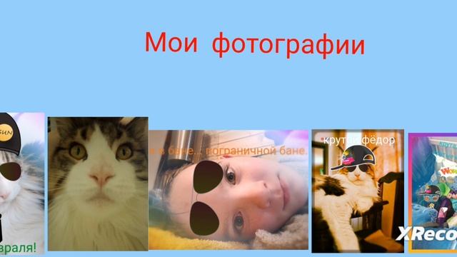 мои фотографии