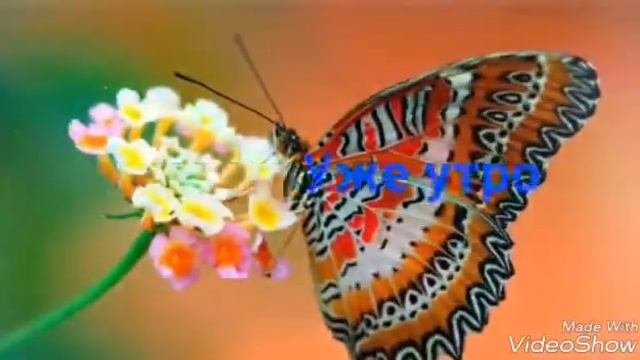 Комикс Леди баг и Супер кот  2 частьПоказ шляп Мариннет