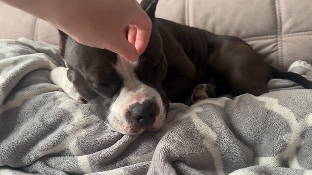 Пытается бороться со сном 😴