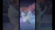 ГАЙД НА УНИКАЛЬНИЙ НАРЯД||ЯОНТ 3 СЕЗОН 1 СЕРИЯ