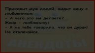 СМОТРЕТЬ АНЕКДОТЫ – видео, от которого живот заболит от смеха! 🤣📹