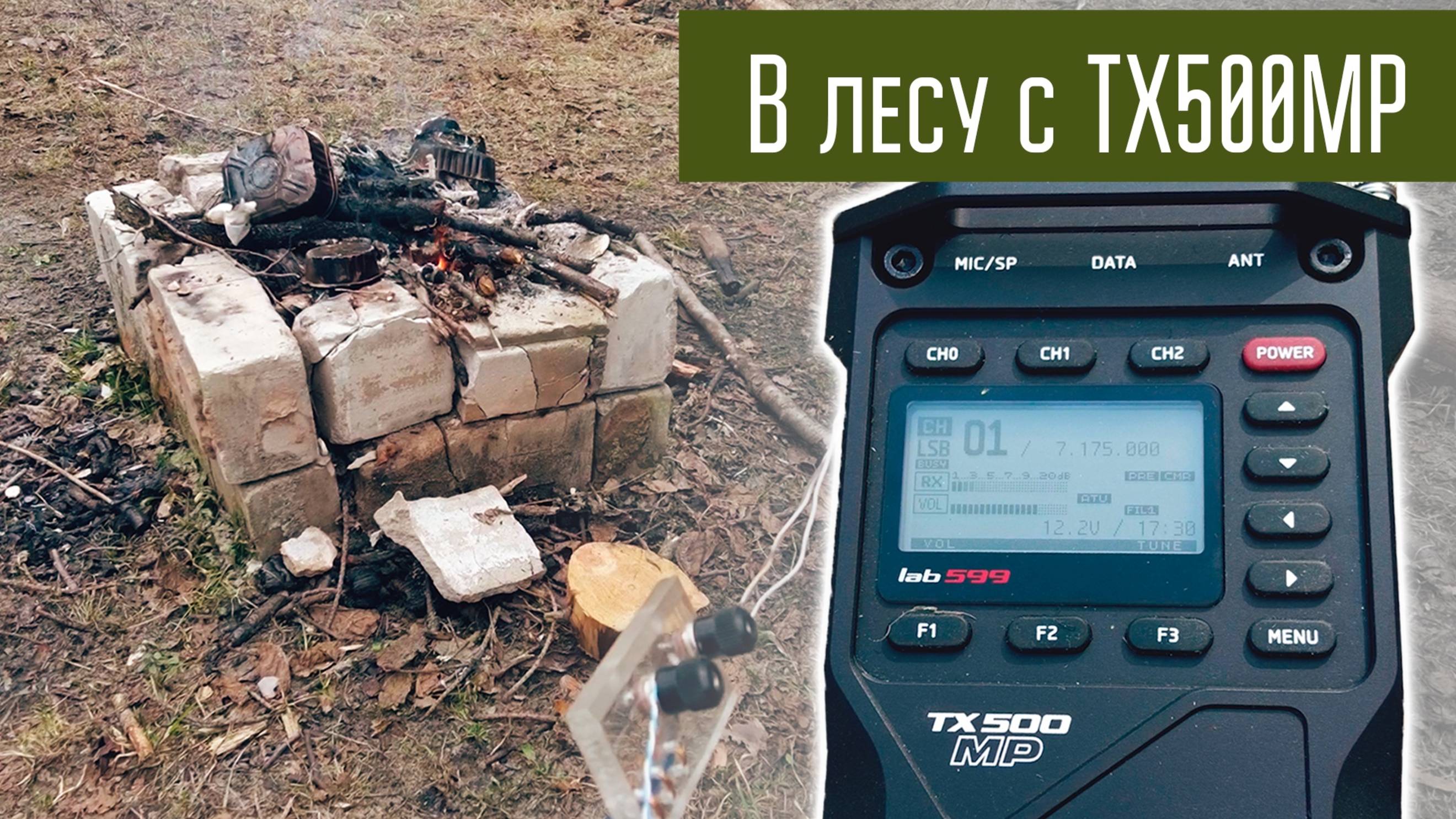 Прогулка по лесу, Discovery TX500MP и антенна кусок провода.