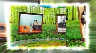 С Днём Радио 9! Красивое Поздравление от Киностудии Мудрого Кота Тимофея!