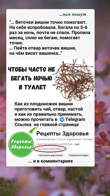 Веточки вишни.. польза