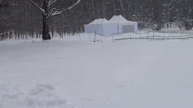 Зимний лесопарк (Дзержинский)