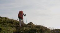 Что на самом деле происходит в этом видео Ответ вас шокирует! - Catch Up, Sally -- Scott Holmes Musi
