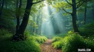 Forest green