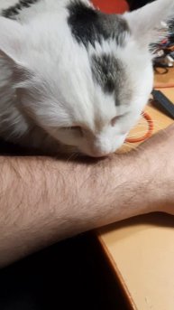 Вася снова мешает работать.
