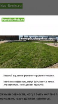 После/До Рулонный газон Дорожки-Урала.ру #стройка #ека?