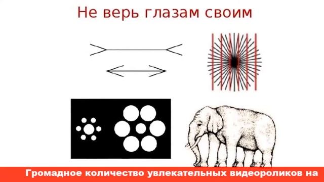 Не верь глазам своим Аферисты вводят в заблуждение будущих мам