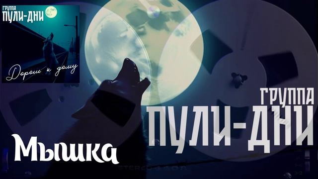 Группа Пули Дни - Мышка