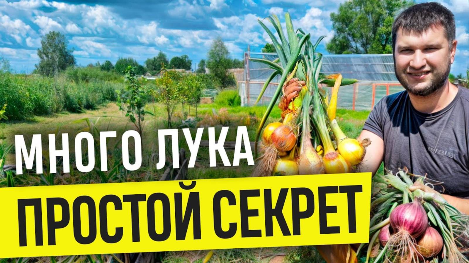 ДЕЛАЙ ТАК И ЛУК С КУЛАК!