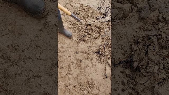 якорь : остриё или лопата , мерзлота или мягкий грунт ? VID_20250504_122918
