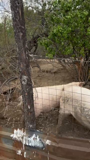 Когда устал от городской суеты