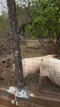 Когда устал от городской суеты