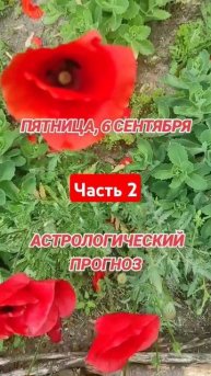 гороскоп на 6 сентября по знакам зодиака #астрология #з