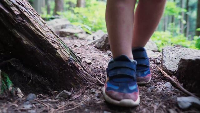 Japan - Mount Mitake (御岳山) Гора Митакэ 4K