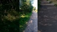 VID_20240815_120340.mp4