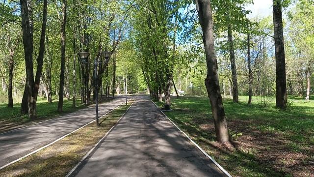 Магнолия