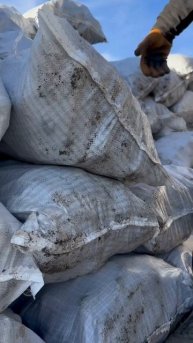 Купить овощи оптом в Крыму Морковь Капуста Картофель ?