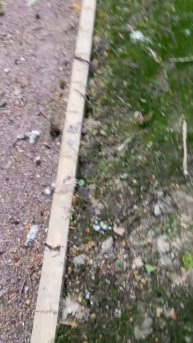 Как сделать дорожку на участке #diy #участок #сад #дом #сд