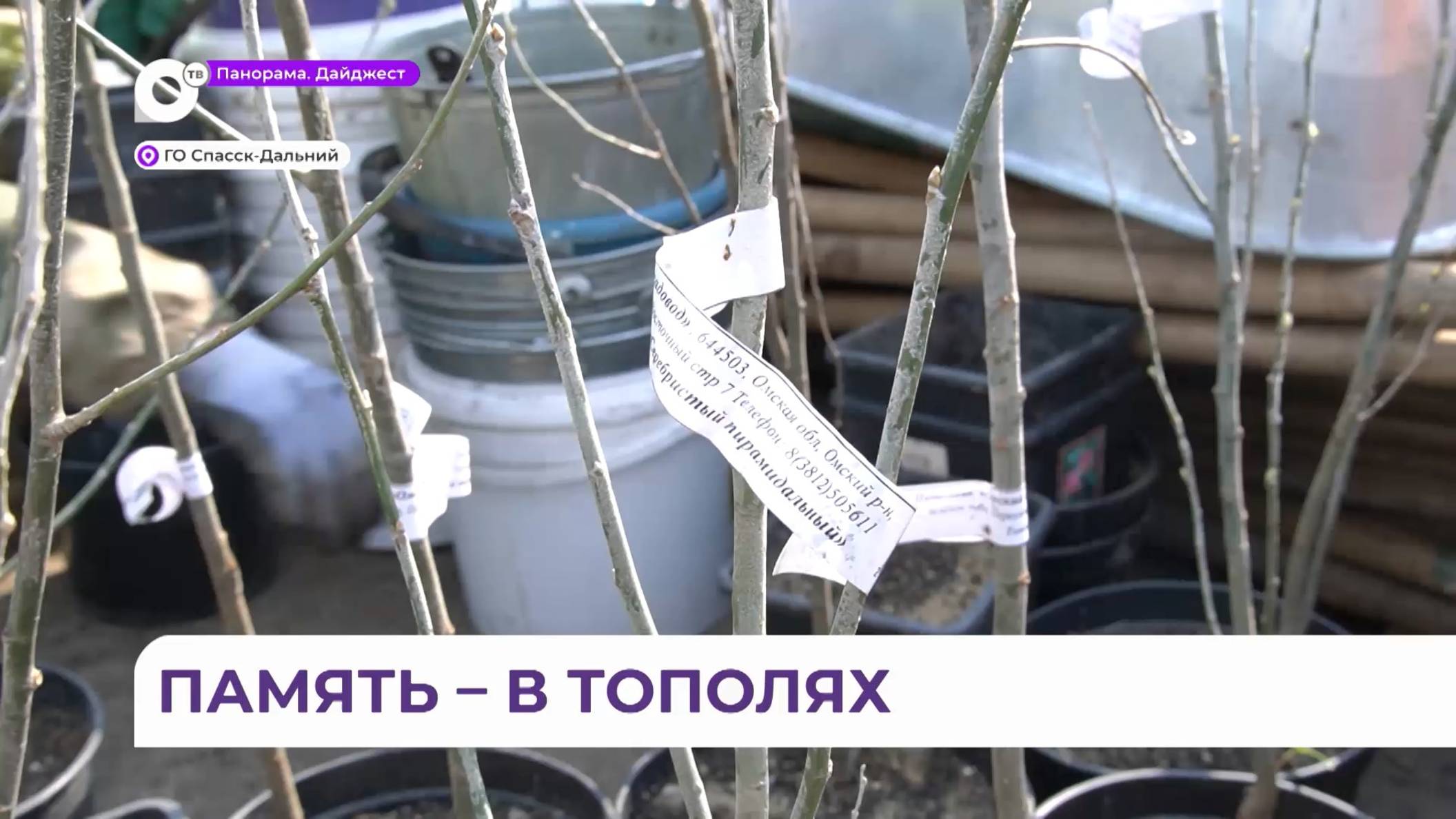 В Спасске- Дальнем создают Аллею памяти погибшим на СВО бойцам