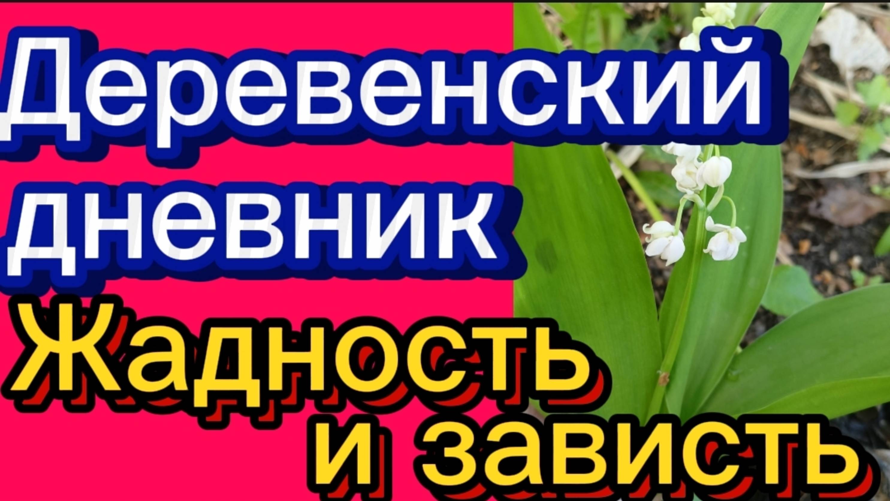 ДЕРЕВЕНСКИЙ ДНЕВНИК. "ЗАВИСТЬ и ЖАДНОСТЬ"