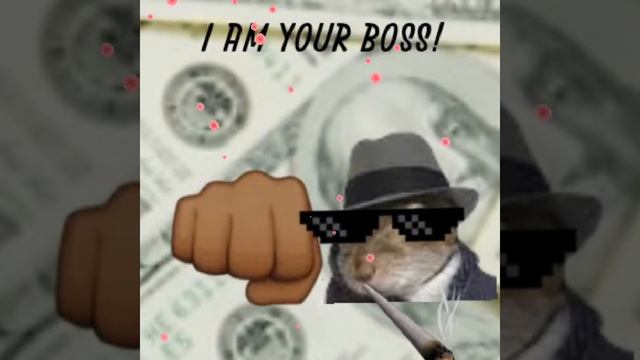 Sibirskiy dj (Сибирский ди-джей)-I am your boss!