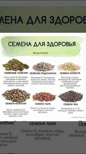 СЕМЕНА ДЛЯ ЗДОРОВЬЯ #польза #здоровье #зож #семена#шорт