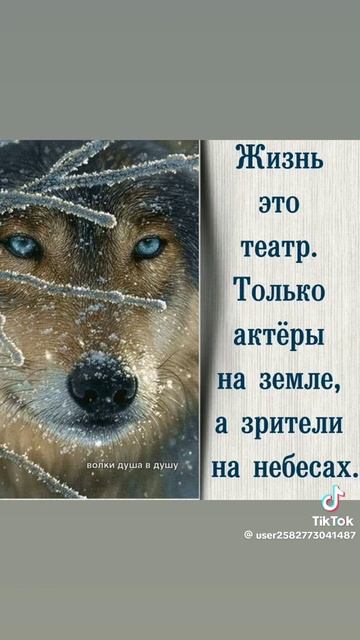 ЖИЗНЬ ЭТО ТЕАТР?!?!