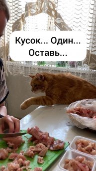 Один кусочек... Хочу маленький... Кусок один оставь