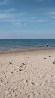 БАЛТИЙСКОЕ МОРЕ. ПЛЯЖ В ЗЕЛЕНОГРАЛСКЕ