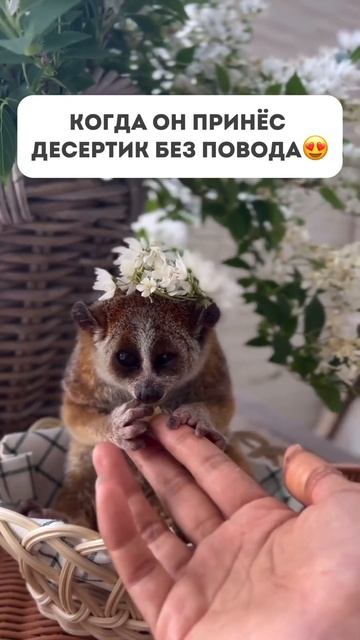 А когда этот десертик ещё и не вредит фигуре — вообще сказка😍Как такой получитьЧитай в коммен-риях